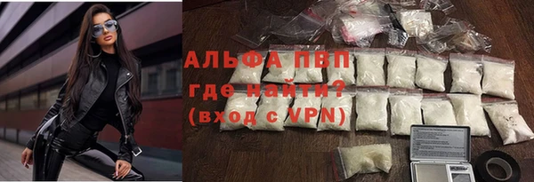 молекула духа Богданович