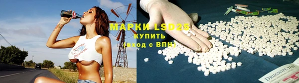 молекула духа Богданович