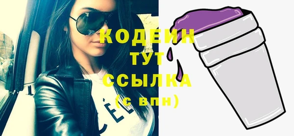 молекула духа Богданович