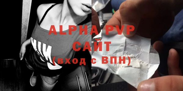 молекула духа Богданович