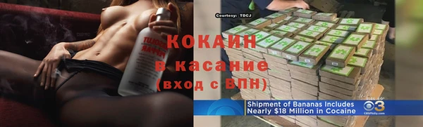 молекула духа Богданович