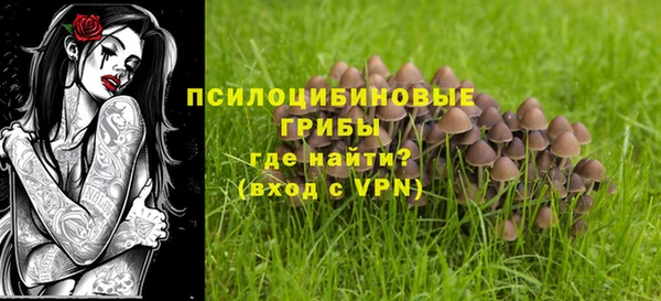 эйфоретик Киреевск