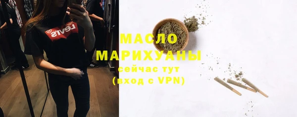 молекула духа Богданович