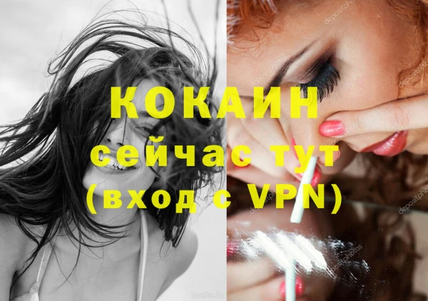 молекула духа Богданович