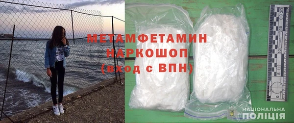 молекула духа Богданович