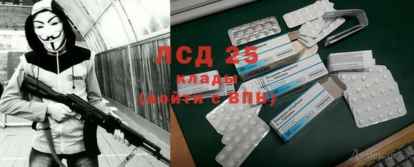 молекула духа Богданович