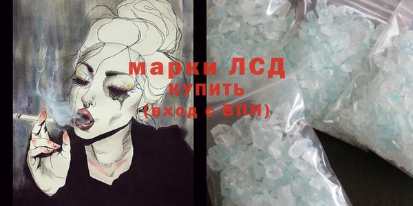 молекула духа Богданович