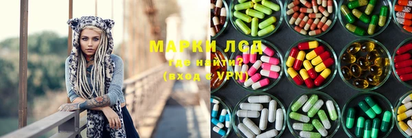 молекула духа Богданович