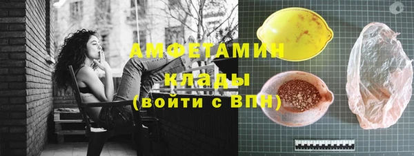 молекула духа Богданович