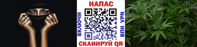 Бошки марихуана тримм  цена наркотик  Дмитров 